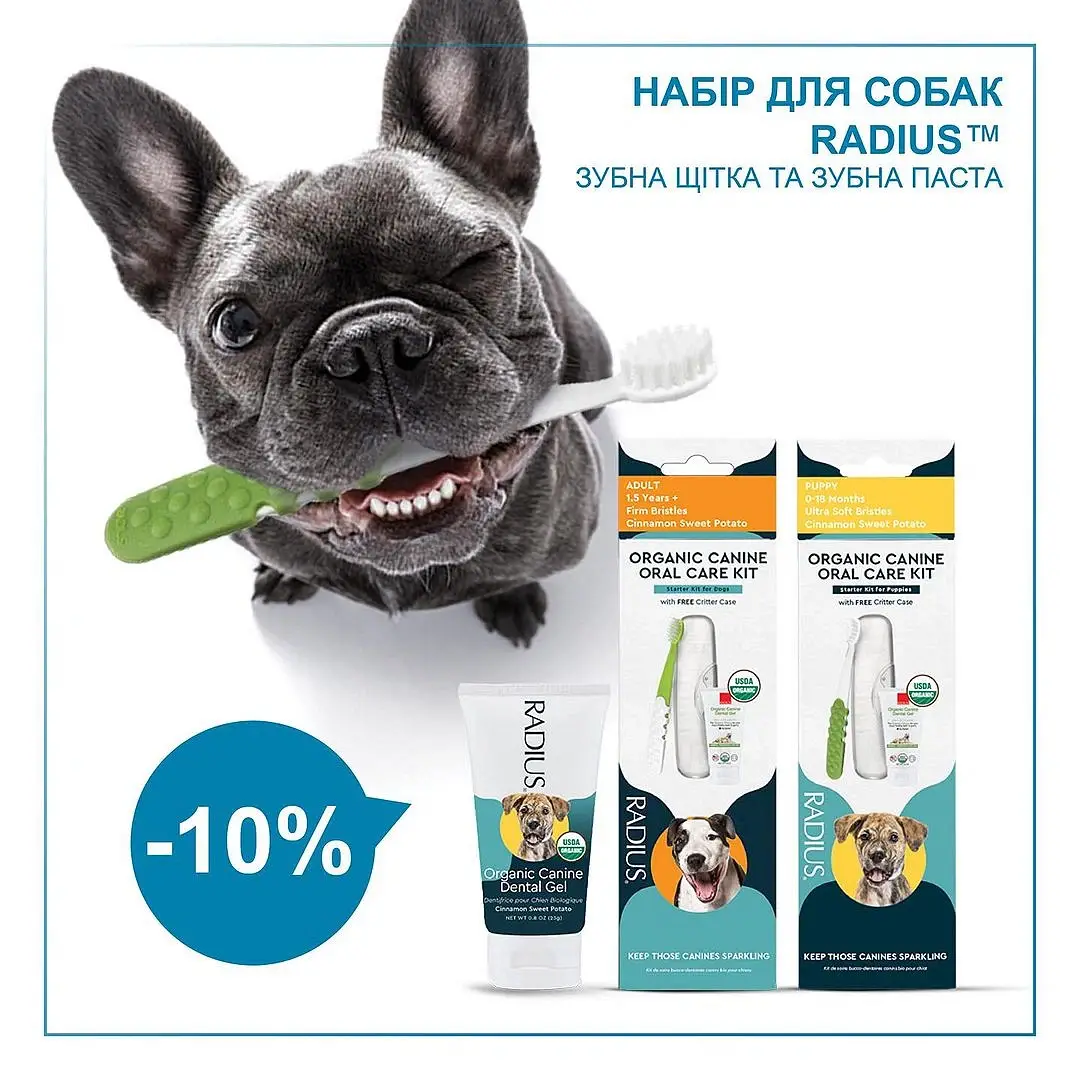 Забота о здоровье улыбки вашего питомца)): Чем чистить зубы собакам?
